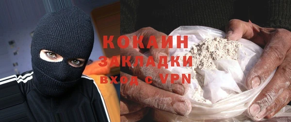 хмурый Алзамай
