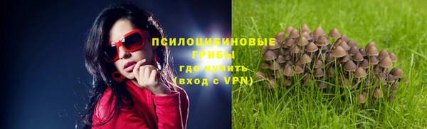 экстази Алексин
