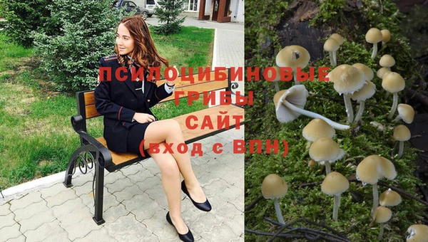 экстази Алексин