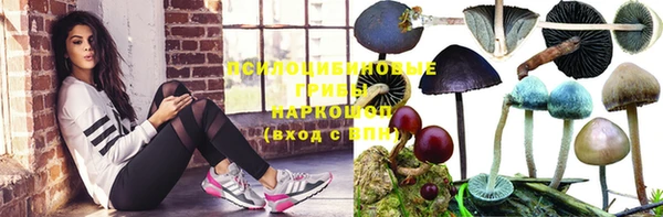 хмурый Алзамай